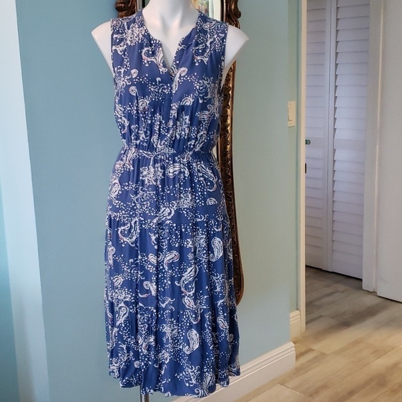 DR2 Dresses & Skirts - DR2 Blue Paisley Sleeveless Dress